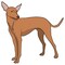 Signmission Cirneco Delletna Dog Decal, Dog Lover Decor Vinyl Sticker D-12-Cirneco Delletna - alternate 2